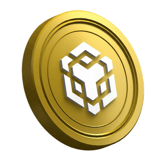 Página de la guía del trader principiante sobre la criptomoneda BNB